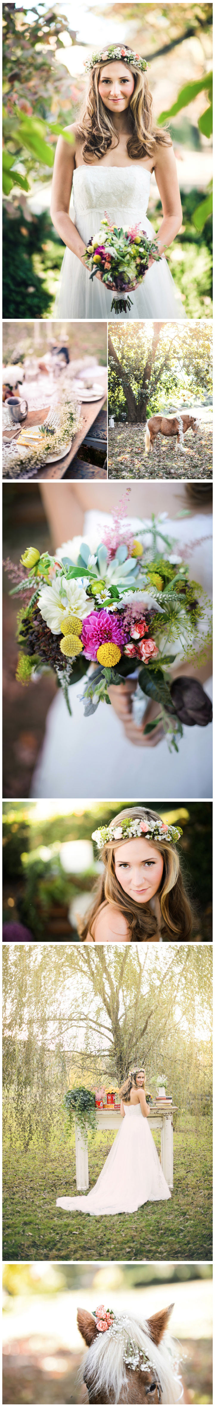 Hobbit Themed wedding at Sundara Wedding Venue in Virginia